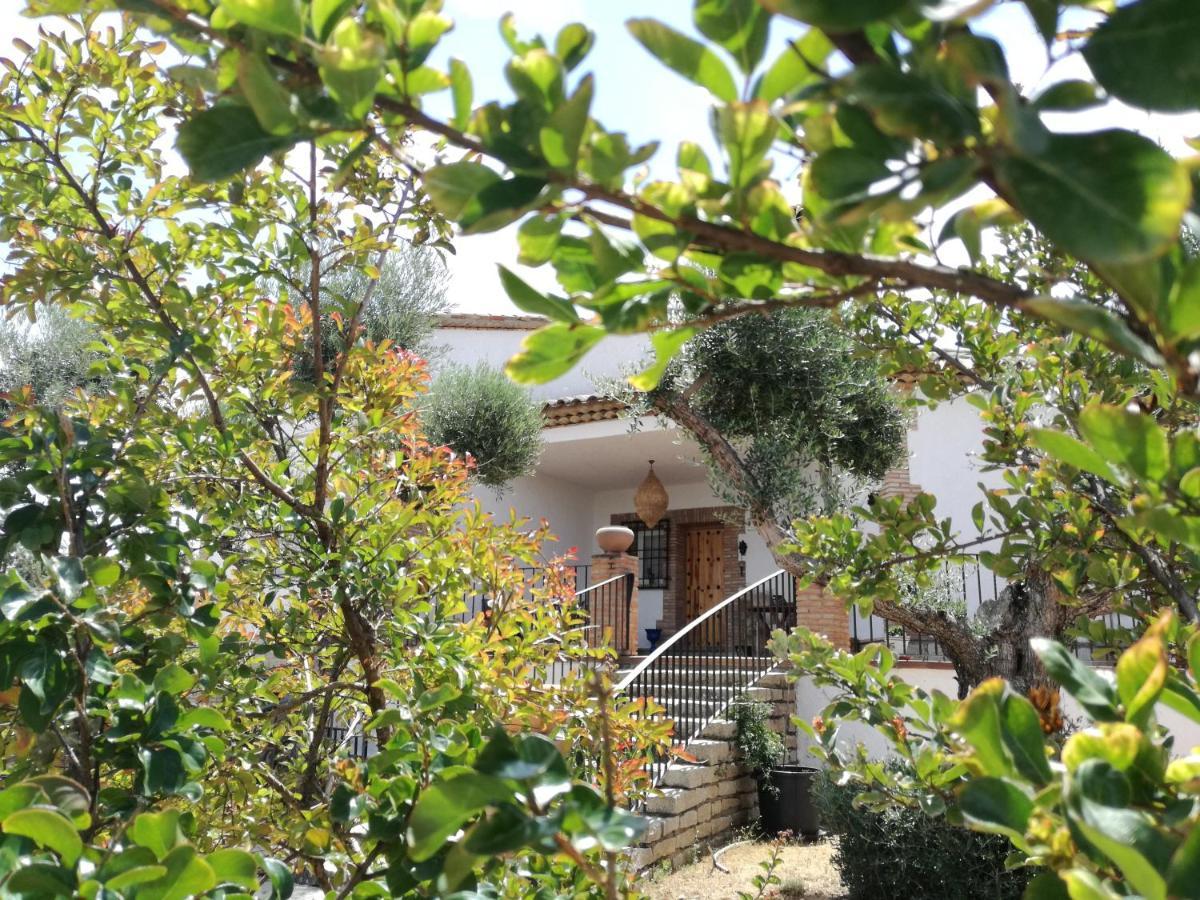 Casa Rural La Amistad Villa Burguillos de Toledo ภายนอก รูปภาพ