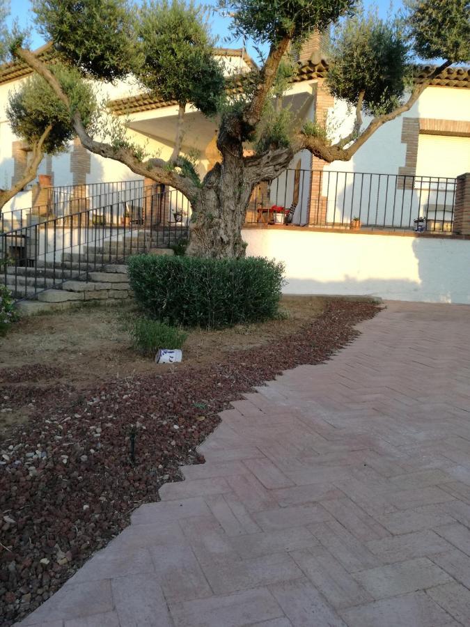 Casa Rural La Amistad Villa Burguillos de Toledo ภายนอก รูปภาพ