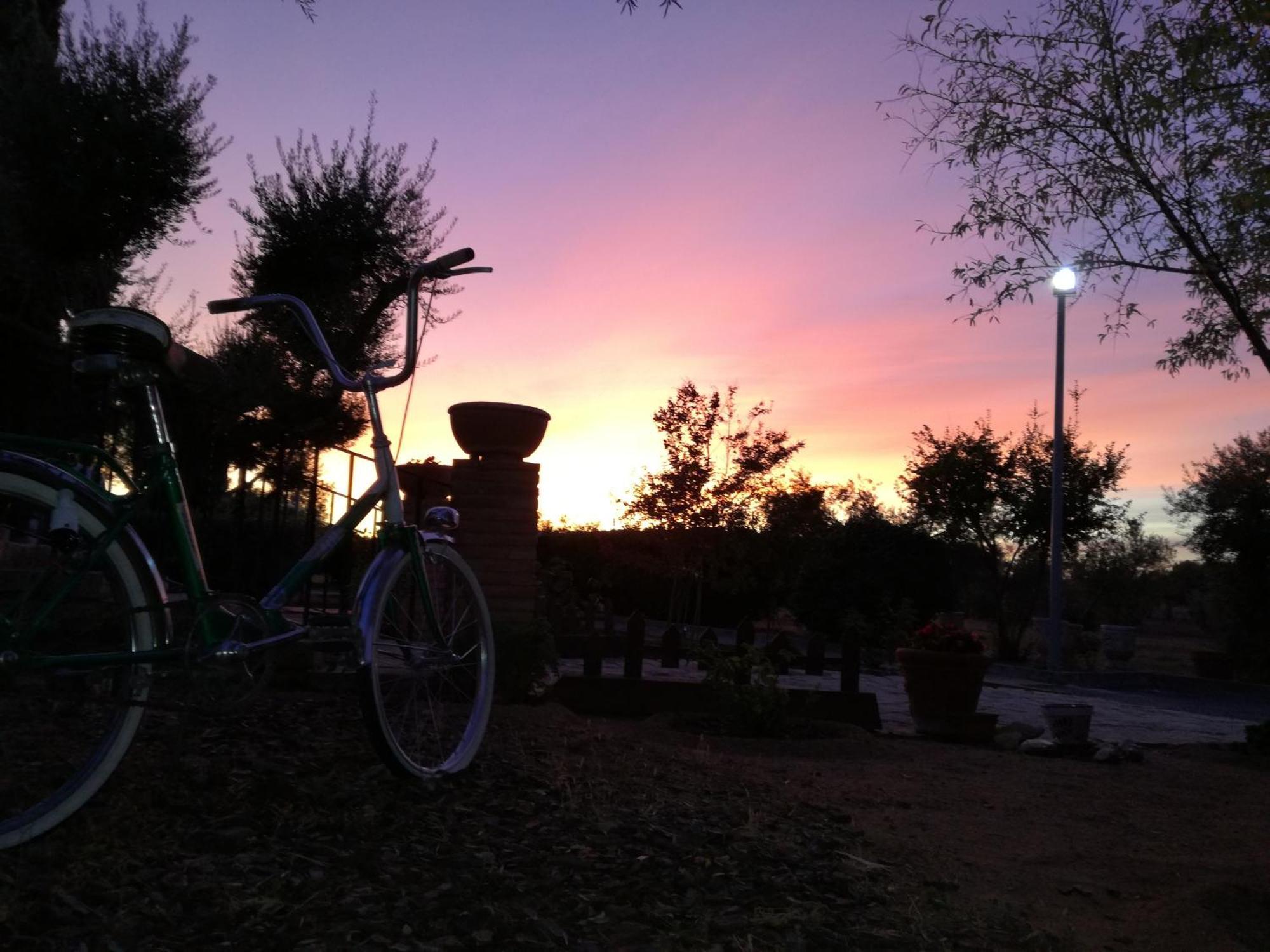 Casa Rural La Amistad Villa Burguillos de Toledo ภายนอก รูปภาพ