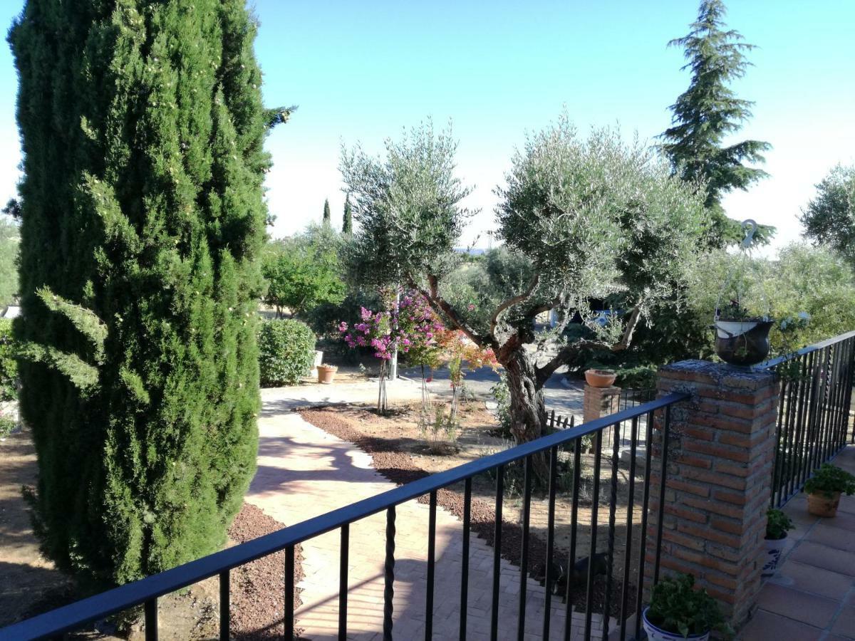 Casa Rural La Amistad Villa Burguillos de Toledo ภายนอก รูปภาพ