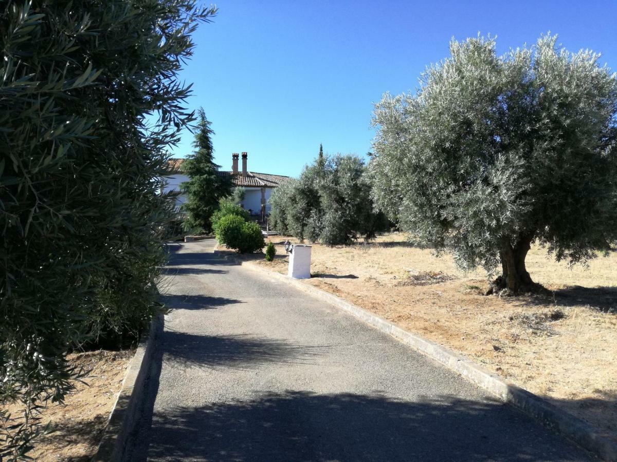 Casa Rural La Amistad Villa Burguillos de Toledo ภายนอก รูปภาพ