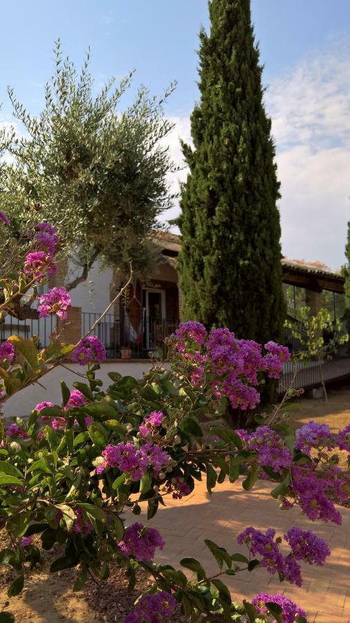 Casa Rural La Amistad Villa Burguillos de Toledo ภายนอก รูปภาพ
