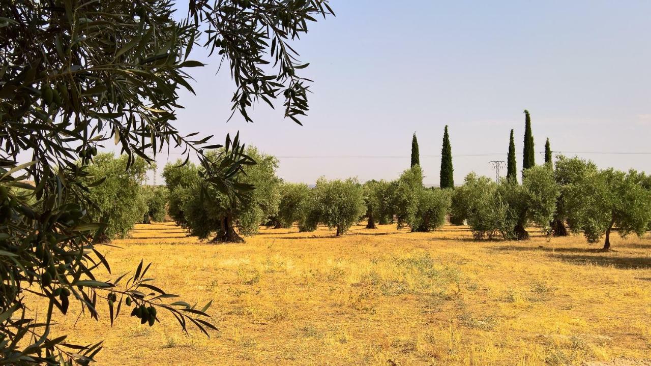 Casa Rural La Amistad Villa Burguillos de Toledo ภายนอก รูปภาพ