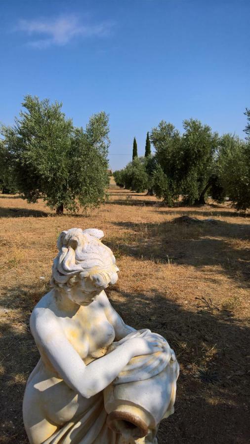 Casa Rural La Amistad Villa Burguillos de Toledo ภายนอก รูปภาพ