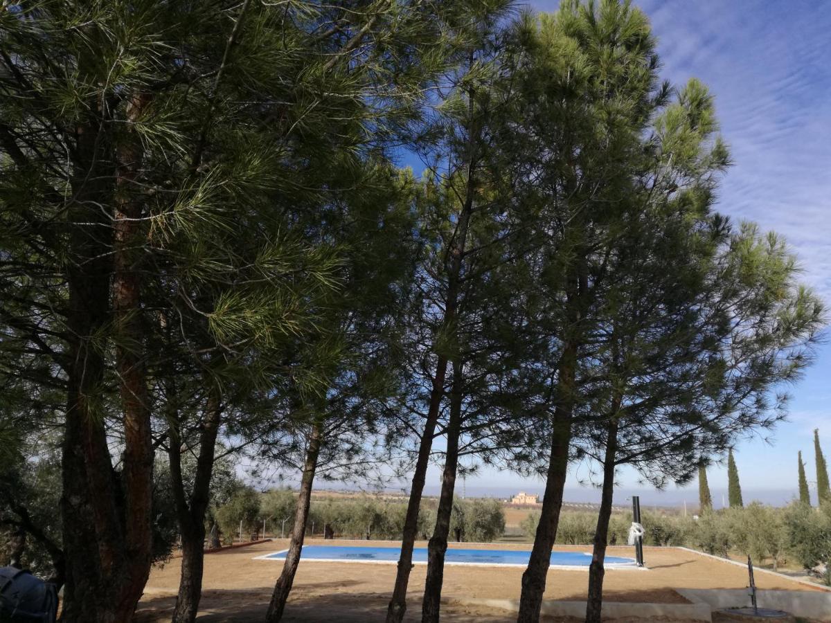 Casa Rural La Amistad Villa Burguillos de Toledo ภายนอก รูปภาพ